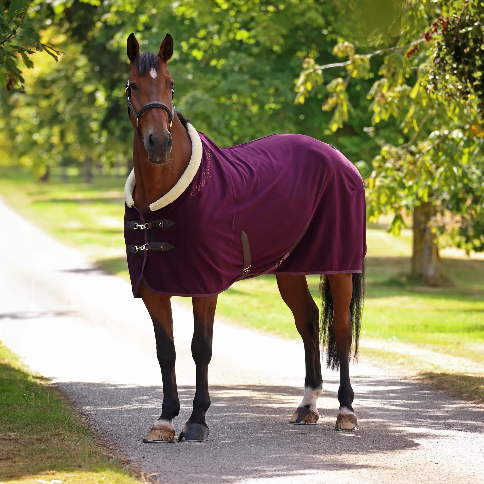 Shires Deluxe Fleece Rug - Premium Horse Travel Sheet - Multiple Sizes Available