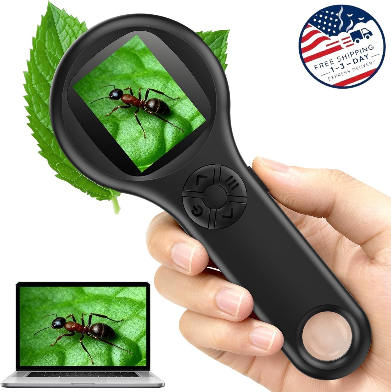 Mini microscopio digital de bolsillo para niños, lupa de mano con zoom 4X.