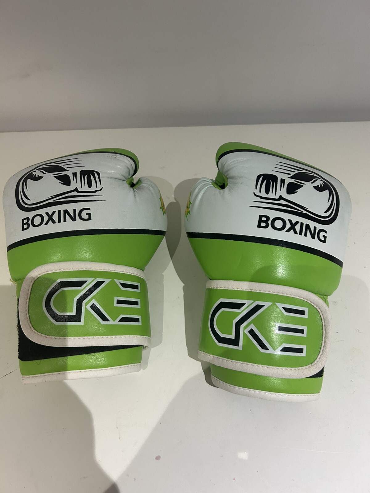 CKE Boxing Gloves- TAEK Club