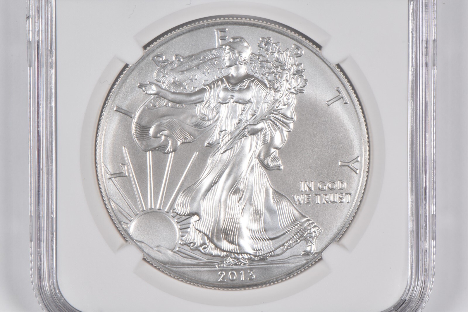 MS70 2013-W Burnished Annual Set - American Silver Eagle NGC