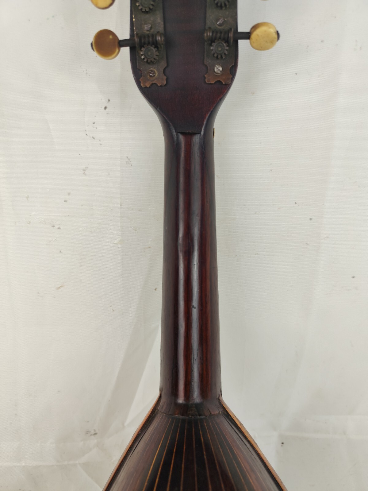 Leonardo Cocchi 1920 Milan 4/4 Mandolin 曼陀林 만돌린マンドリン