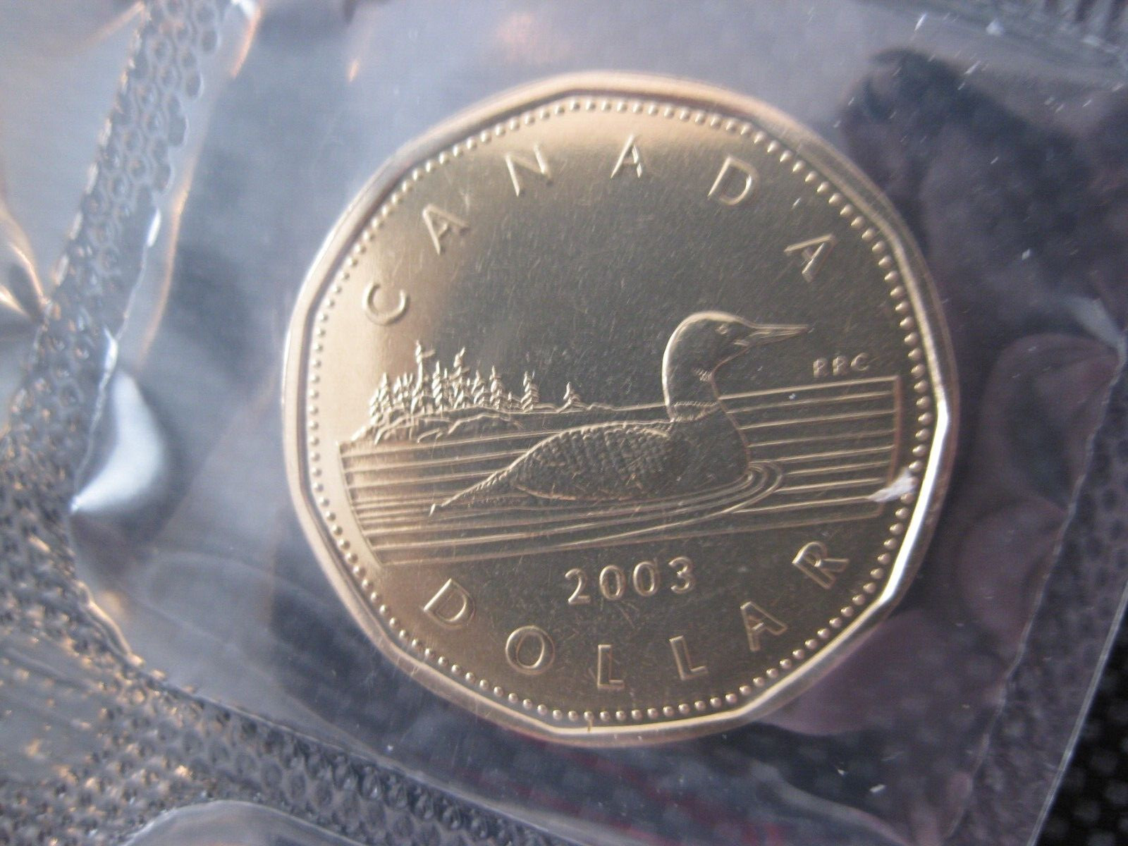 2003 Canadian Prooflike Loonie ($1.00) **Old Effigy**