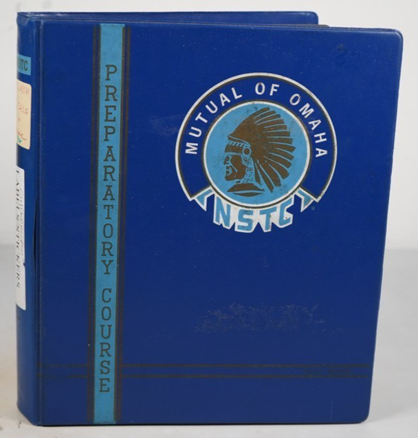 WORLDWIDE ACCUMULATION OF 535 CINDERELLAS & AIRMAIL ETIQUETTES IN ALBUM