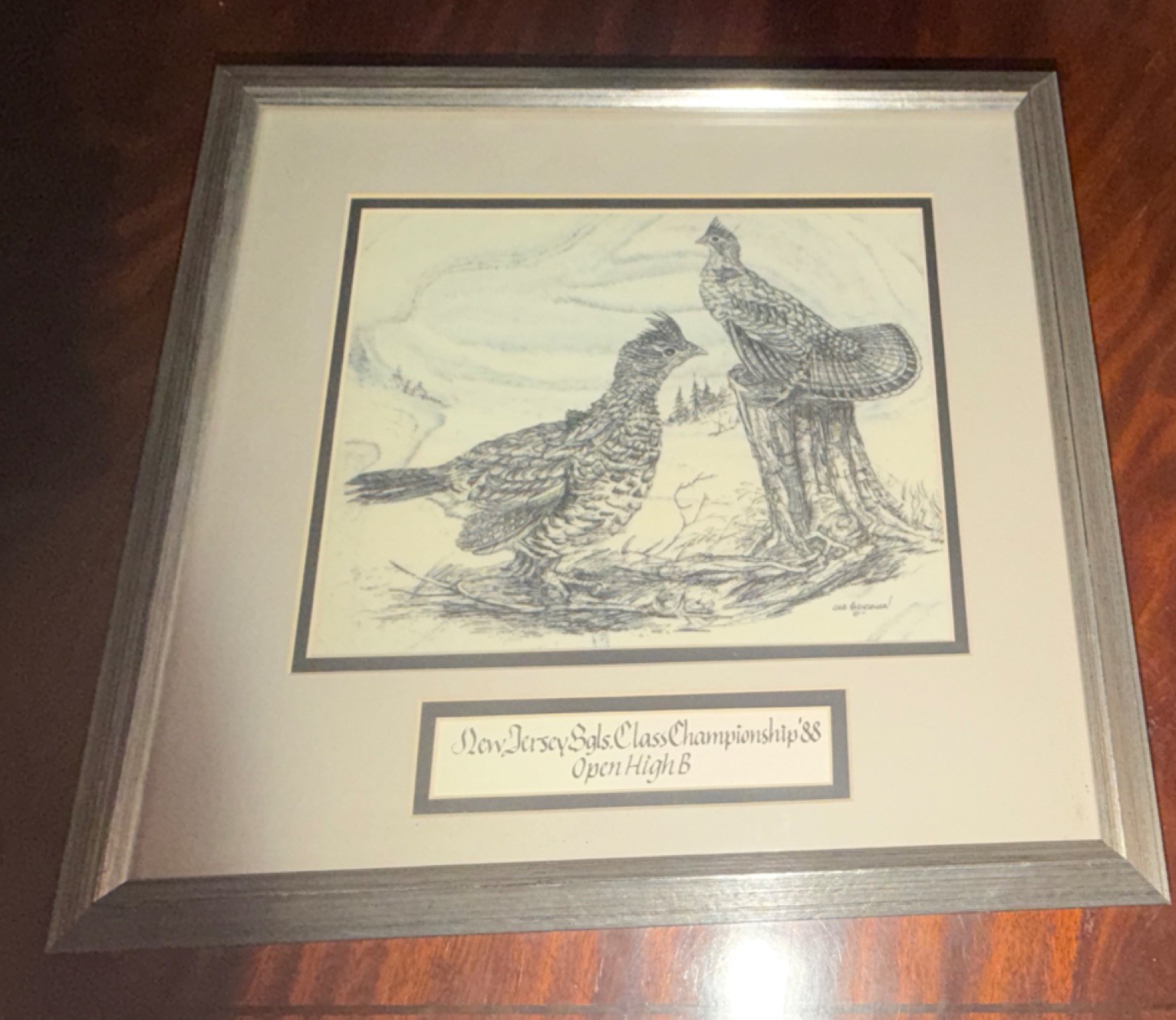 Lyle Andresen Signed Framed Bird Drawing New Jersey State Class Championship '88
