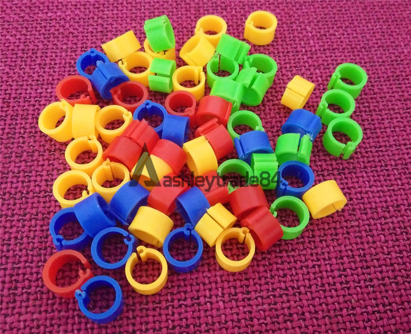 100 Bird Leg Bands 8mm Pigeon Chicken Parrot Bantam Poultry Rings 10 Colors