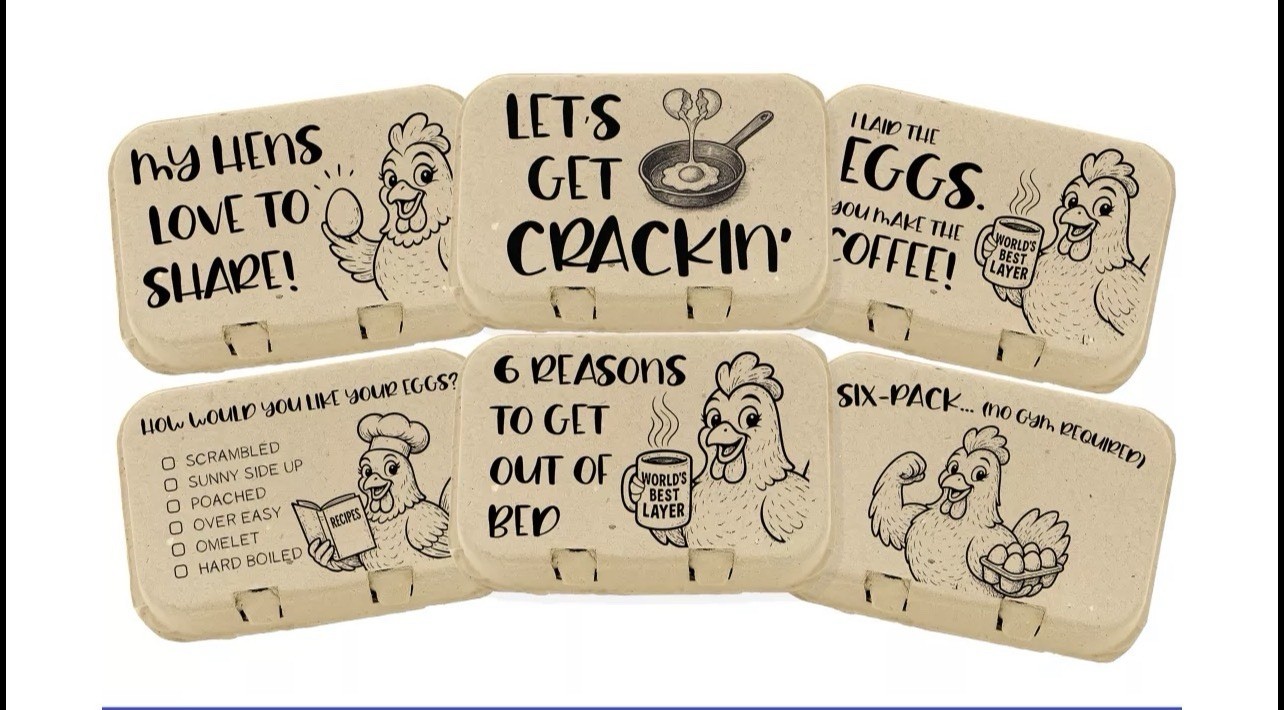 48 Half Dozen Printed Egg Cartons Empty Paper Pulp Eco Friendly (24 Per Pack)