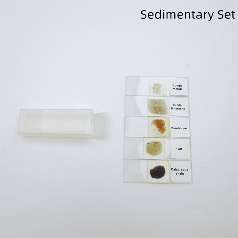 5PCS Petrological Prepared Slide Rock Cell Quartz Microscope Mineral Specimen