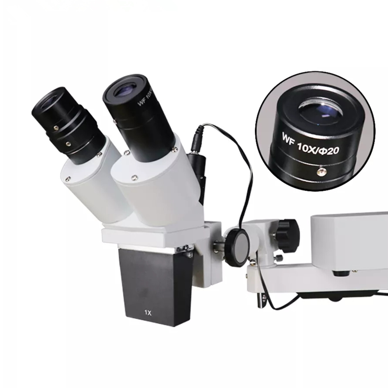 Desktop 10X Dental Stereo Binocular Microscope Surgical Root Canal Microscopes