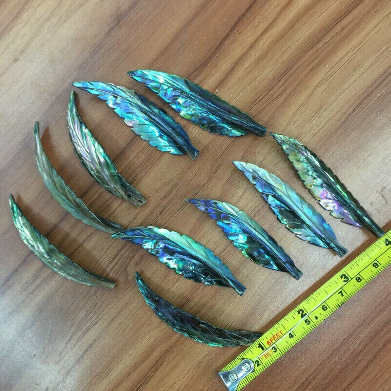 10 Pieces Abalone Shell Natural Material Feather Shape DIY Craft Art Novelty