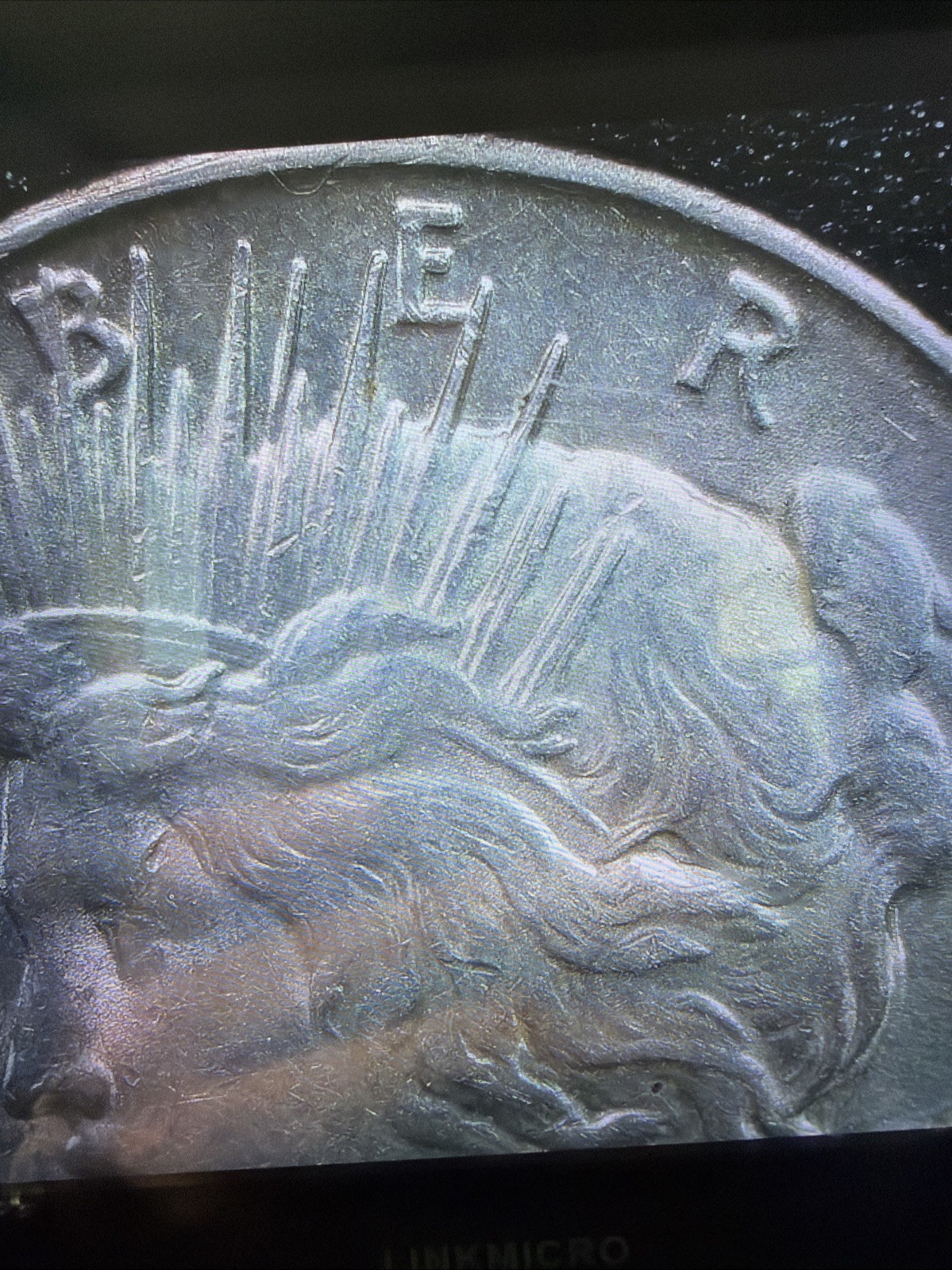 1934 D Peace Dollar  VAM 3 DDO better Date SEE PICS