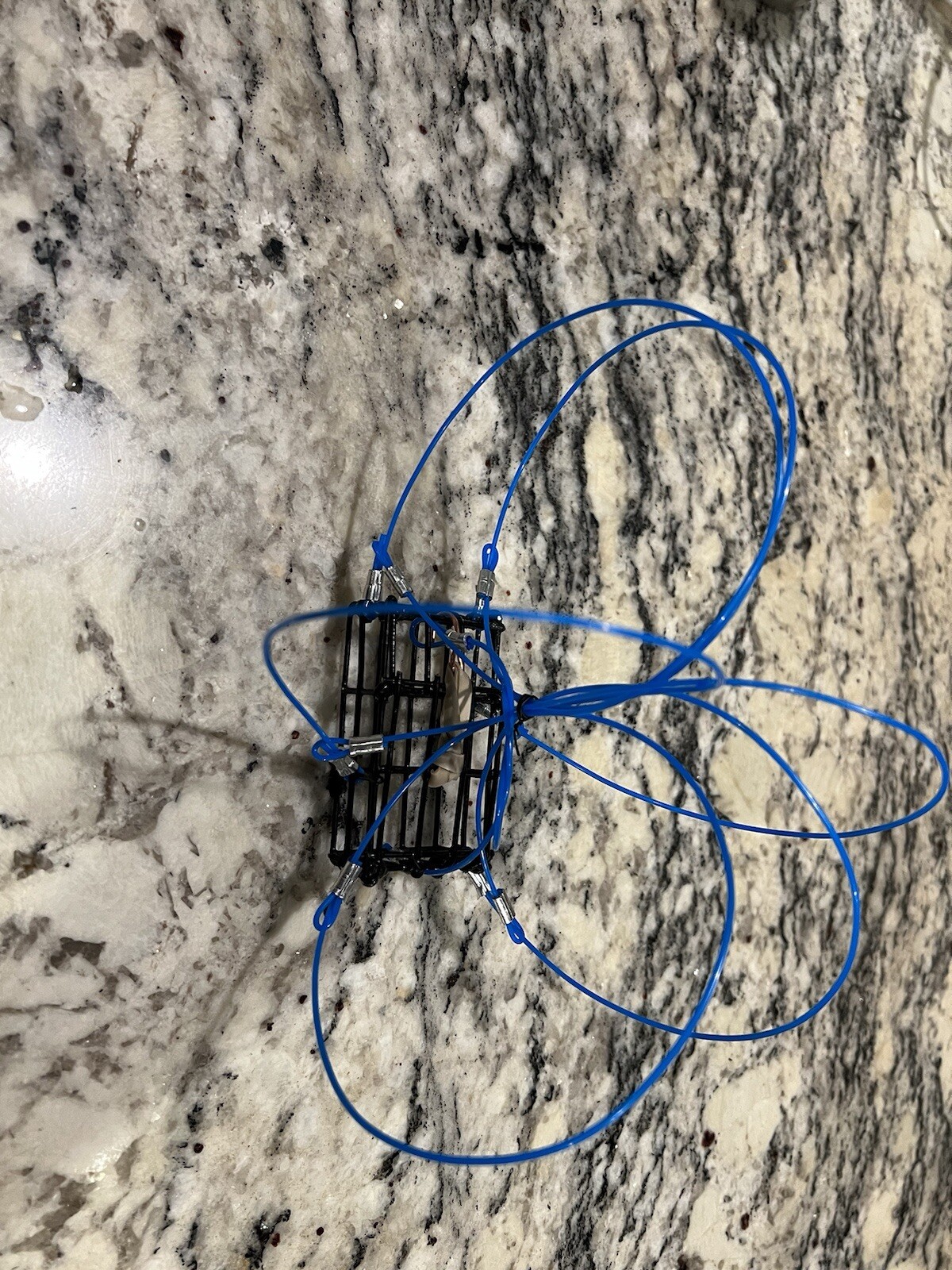 5 crab snares No Weight