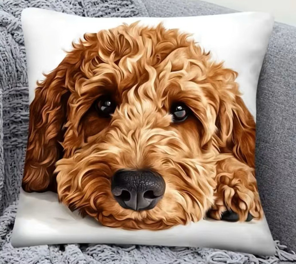 Golden Labradoodle Dog--Zippered Pillow Cover-17.7 x 17.7-inch