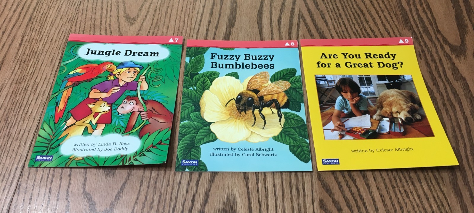 SAXON PHONICS & SPELLING / GRADE 2 / FLUENCY READERS LEVEL C / 26 TITLES
