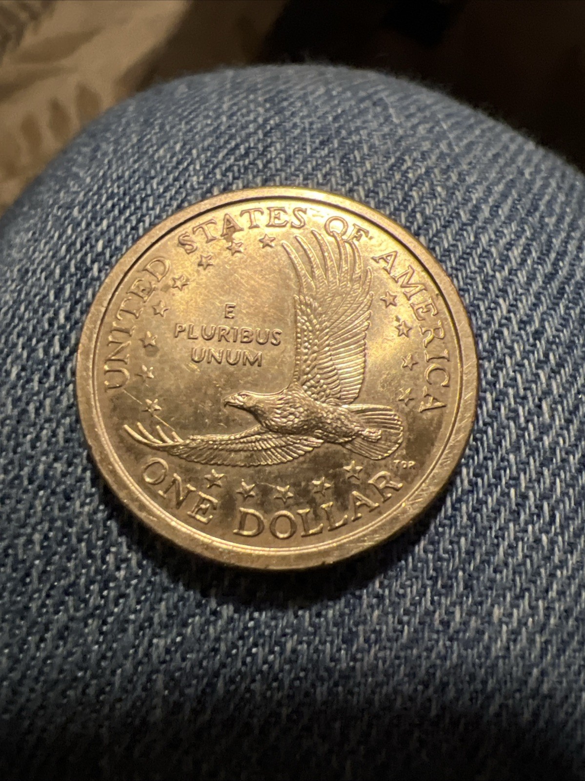 Rare 2000 Sacagawea (P)Dollar Coin