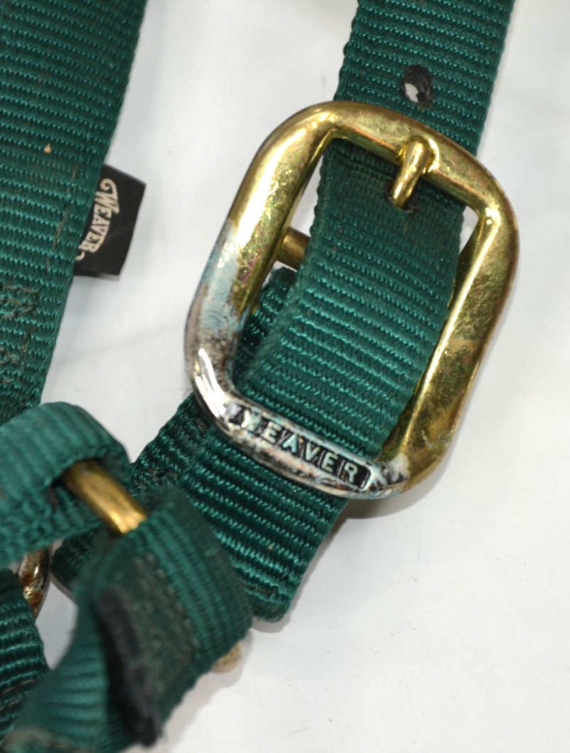 Weaver Small & Yearling Horses NYLON HALTERS NWT Adjustable 1" Blue Green Big D