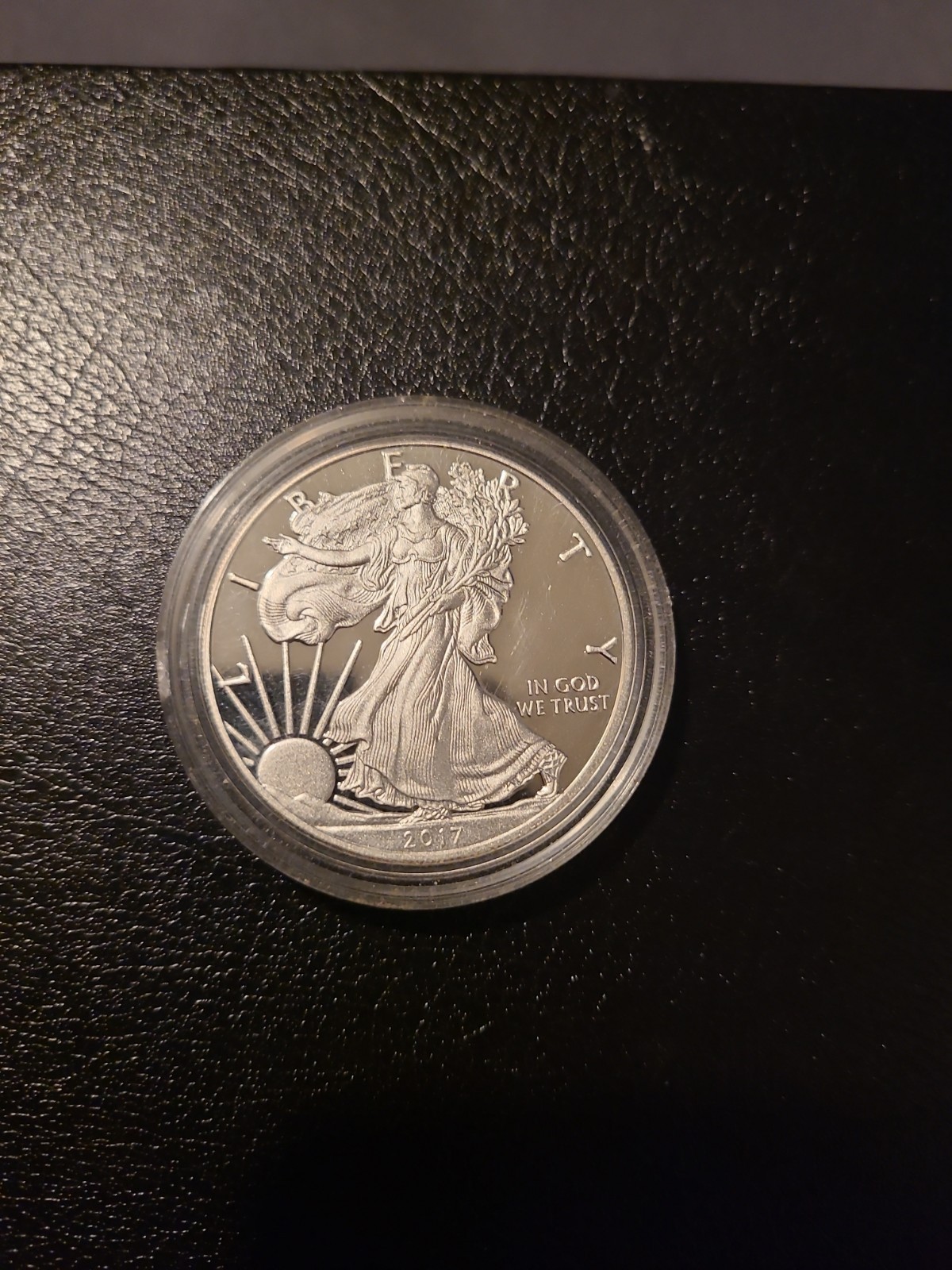 2017 Walking Liberberty Proof Dollar in Capsule Uncirculated