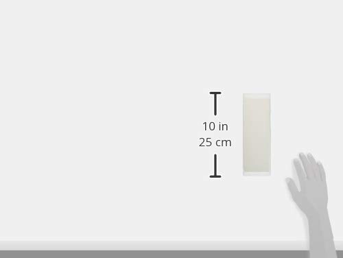 Naniwa NK-2091 Professional Whetstone Kagayaki #12000 210×70×10mm, Gray