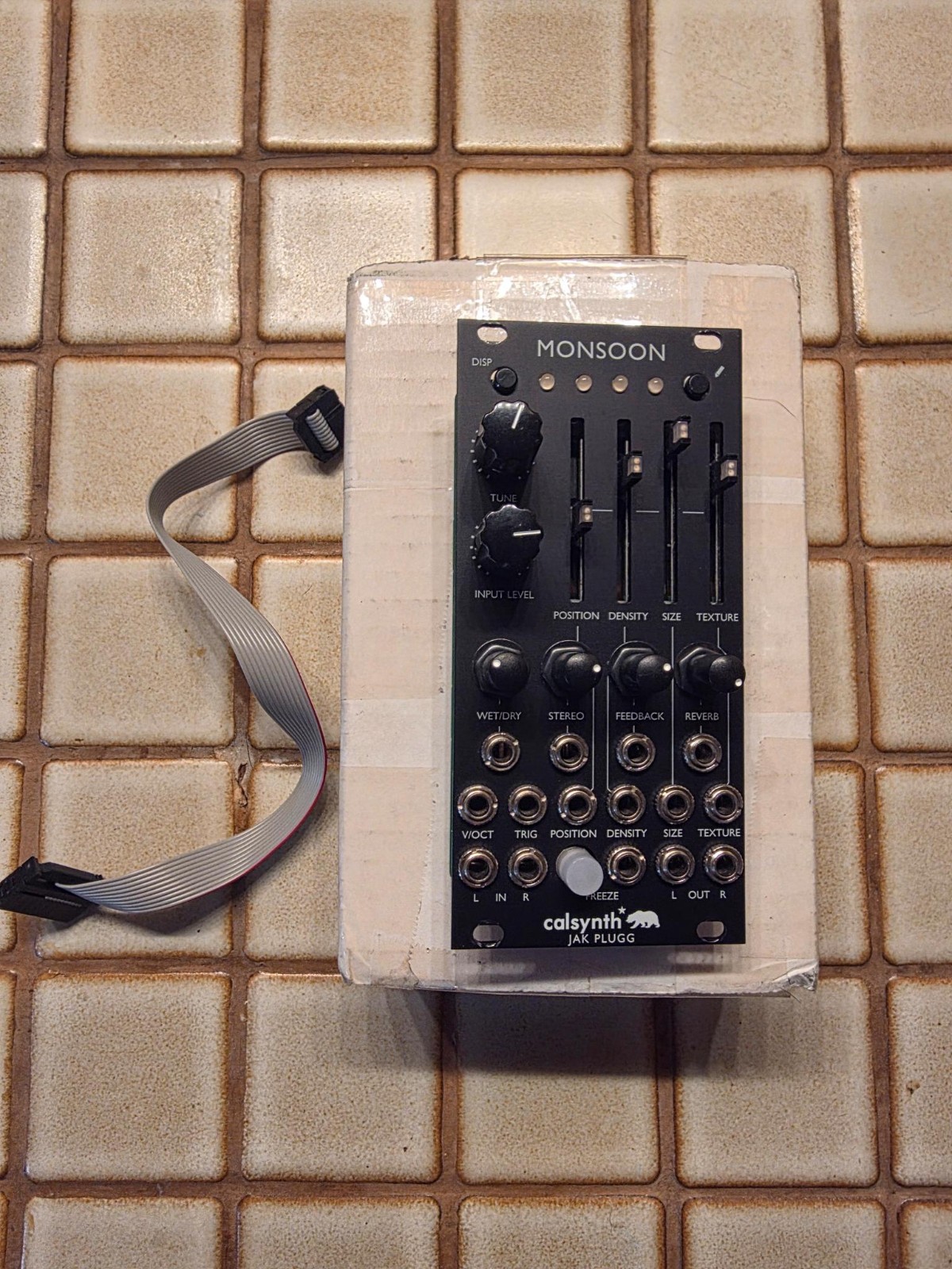Calsynth Monsoon Eurorack Module (Clouds Clone)
