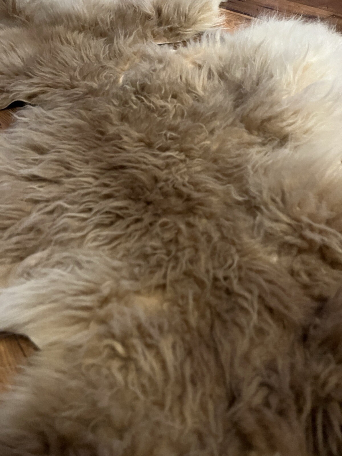 Alpaca Hide