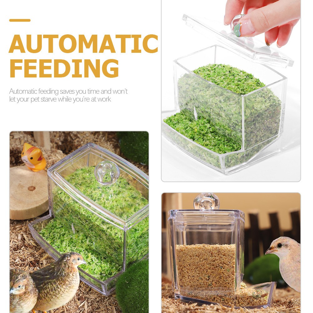 Automatic Chick Feeder Transparent Bird Rutin Chicken Feeding Bowl