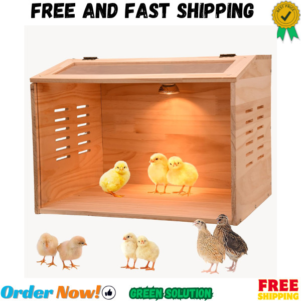 Chicken Brooder Box with Heater for Chicks Ducks Quail Poultry