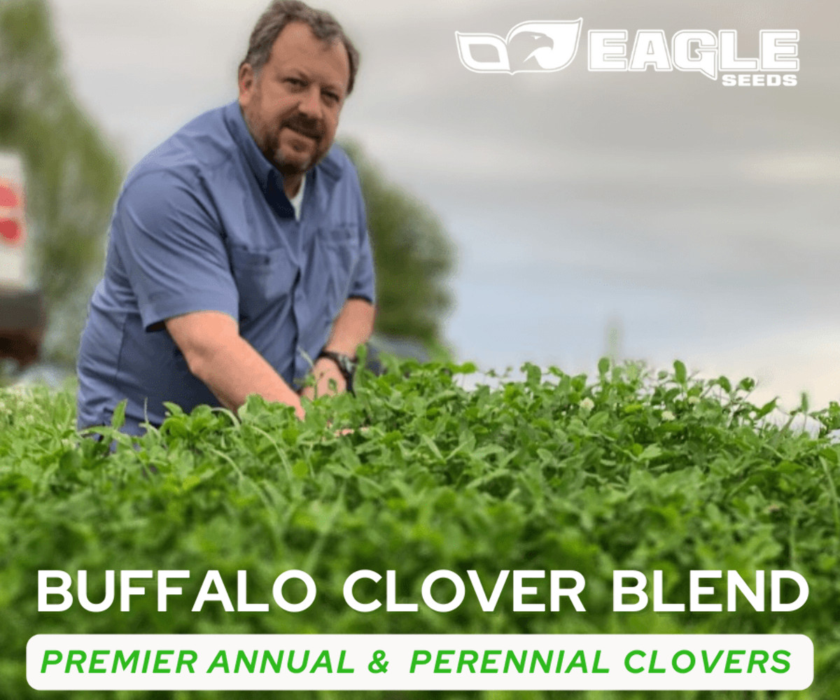 Eagle Seed Buffalo Clover Blend for Deer | Food Plot Habitat Seed