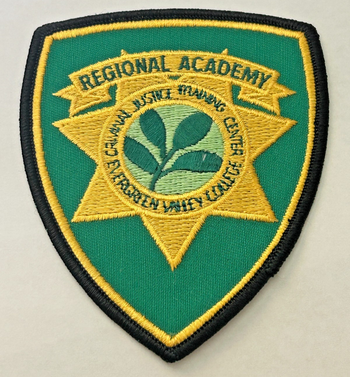 California Evergreen Valley College Regional Academy San Jose Patch Unused