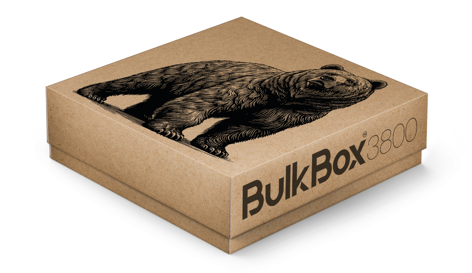 TCG storage box for Pokemon, YuGiOh!, Star Wars Unlimited, Flesh and Blood cards