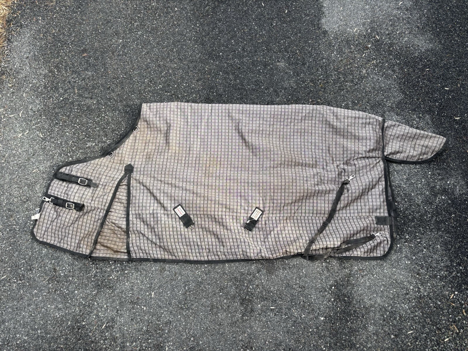 Schneiders Horse Turnout Blanket