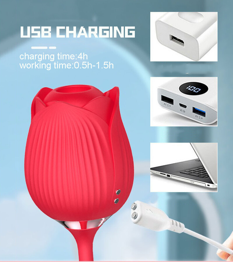2in1-Rechargeable-Women-Rose-Massage-Vibration-Sucker-Thrusting-Use-Lubricant