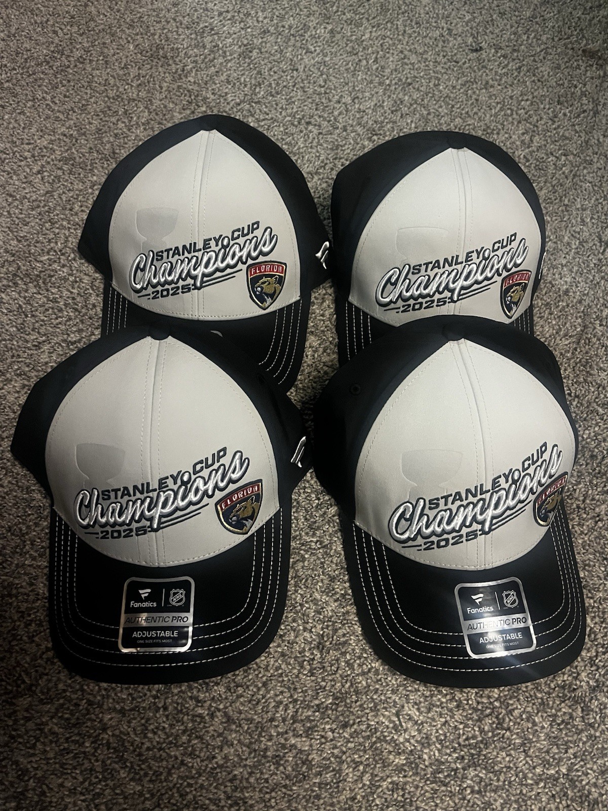 Florida Panthers Stanley Cup Champions Locker Room Fanatics Hat Lot Of 4 NWT