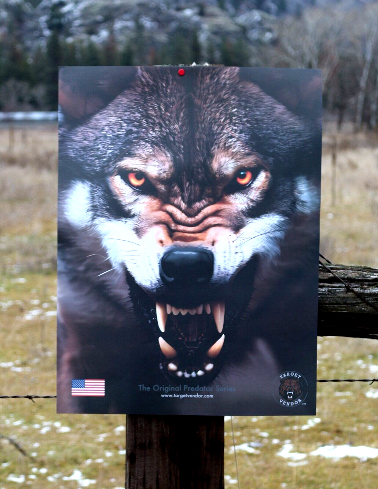 Paper Targets for Handgun Practice High Quality Wolf Target, shooting practice