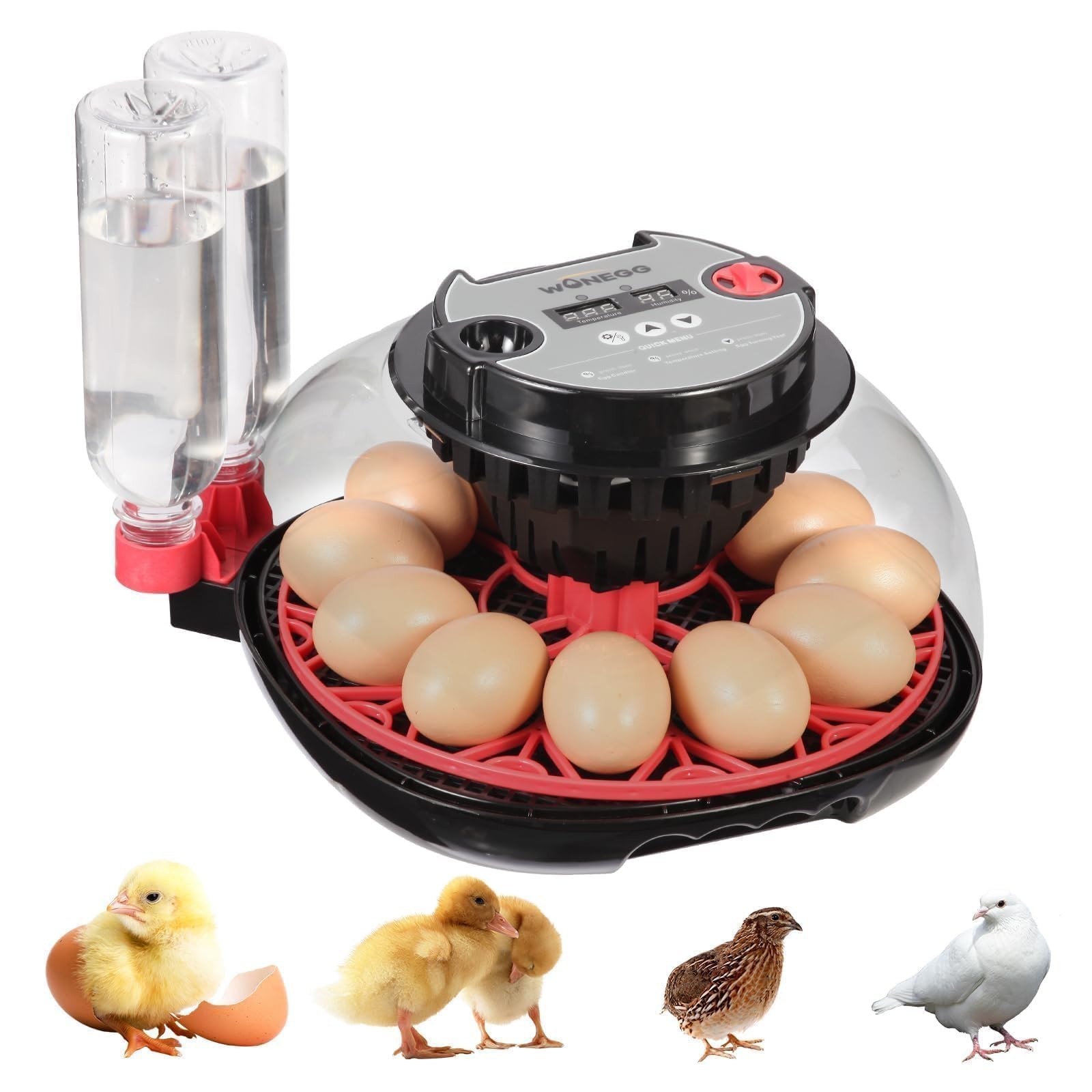 Simple Plus 12-Egg Incubator for Beginners, Full-Stage Adaptive Humidity Dual...