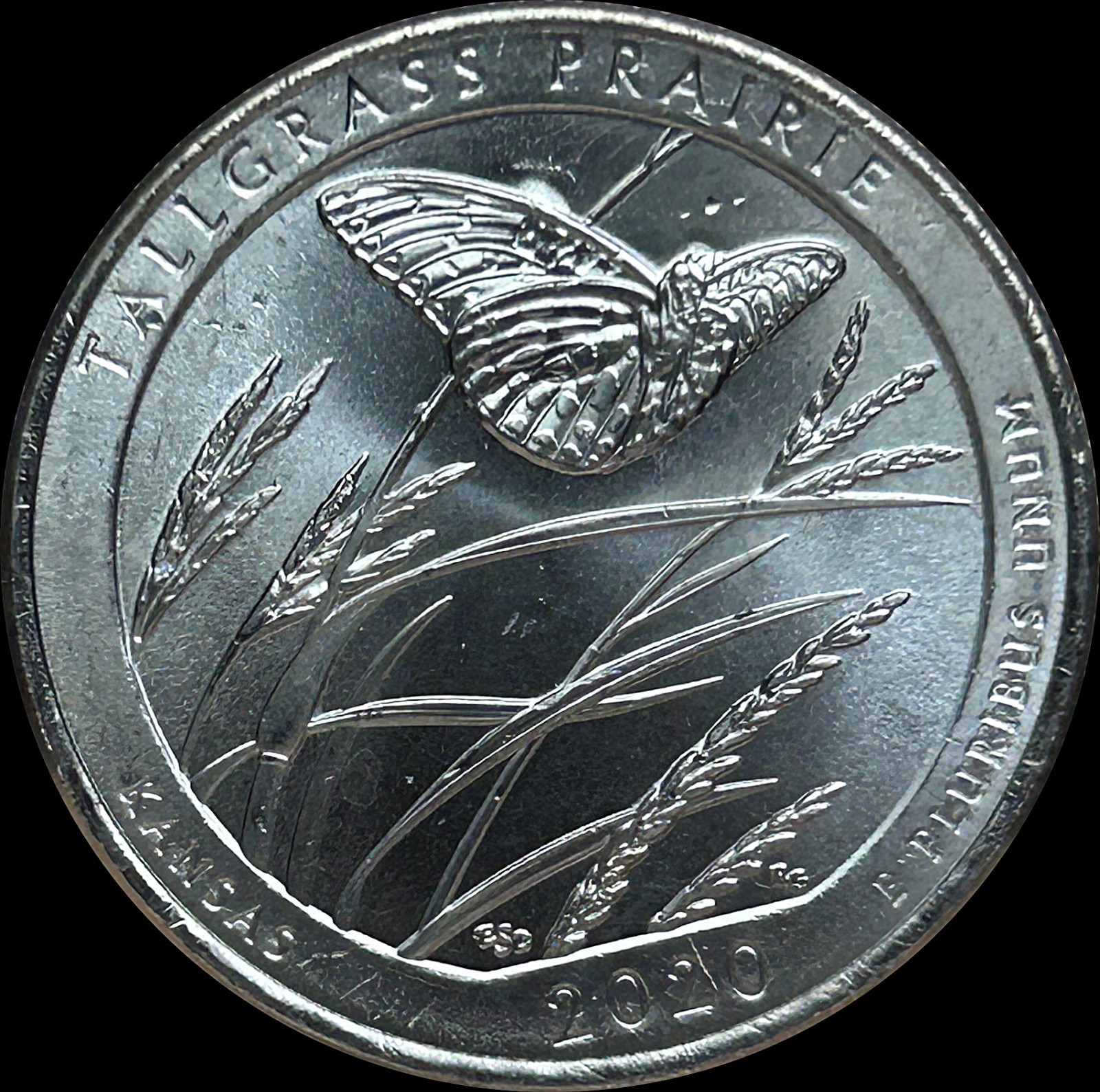 Die Break & Chips Errors - 2020 Tallgrass Prairie ATB Quarter - On Wing & Head
