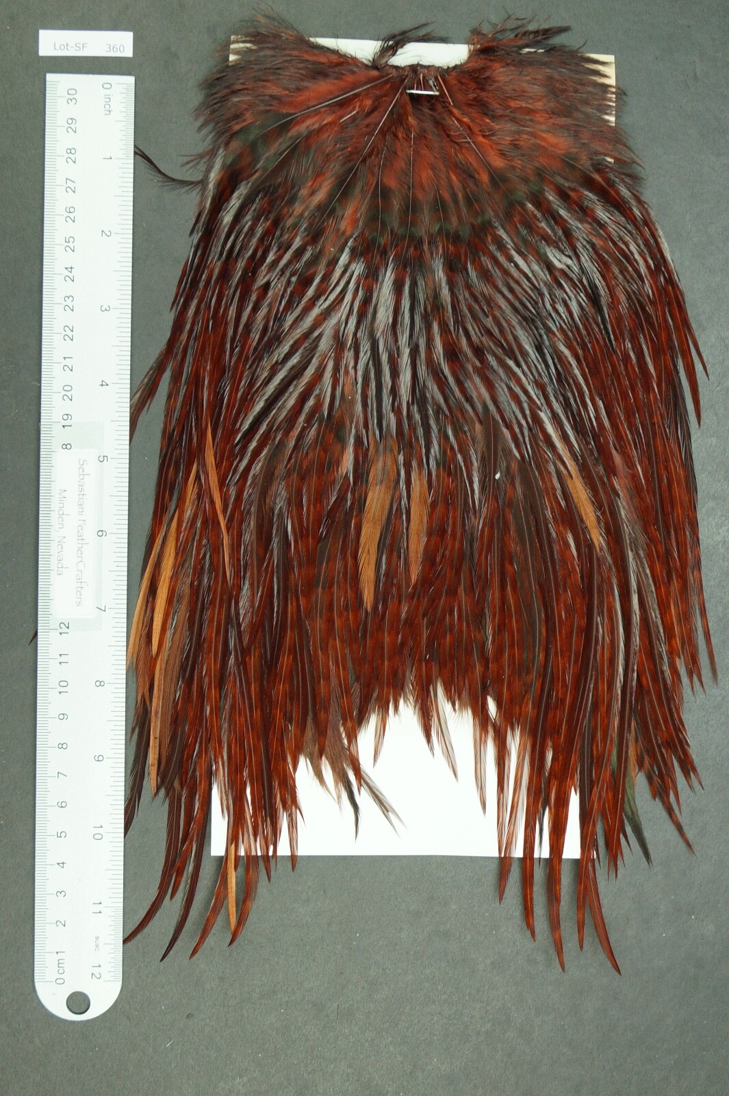 Commercial Keough Barred Variant Dyed Brown Rooster Saddle Lot-SF 360