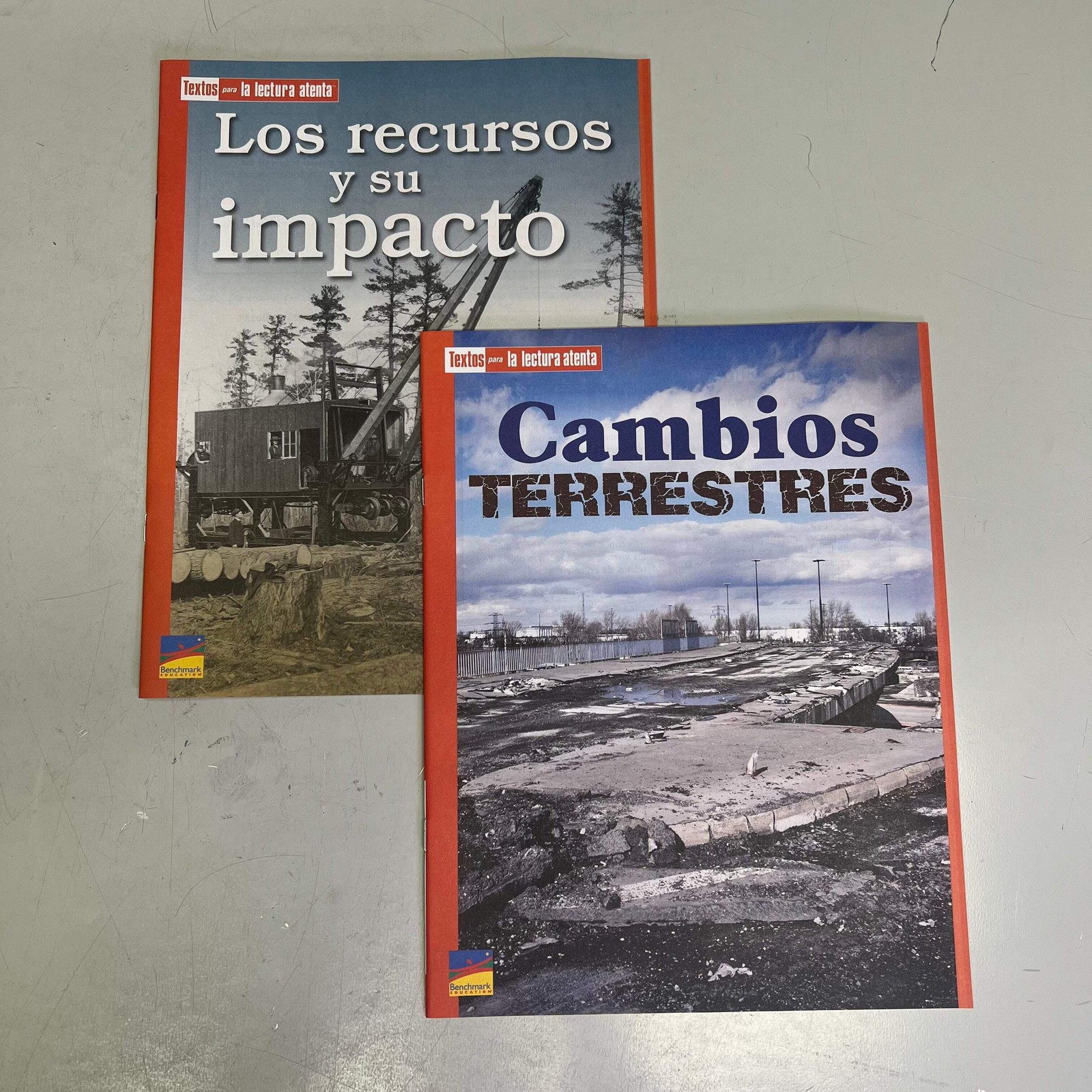 BENCHMARK EDUCATION (10 SET) Multiple Learning Point Books Grade 4 Spanish Editi