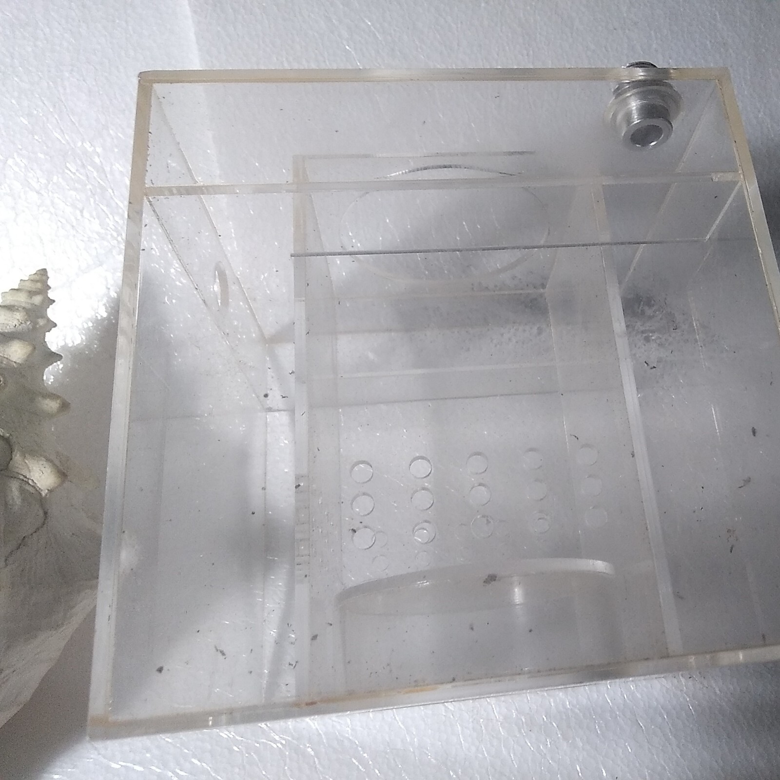 Acclimation Breeder Box (Fish,Quarantine) & Belizian Conch Shell,Aquarium Bundle