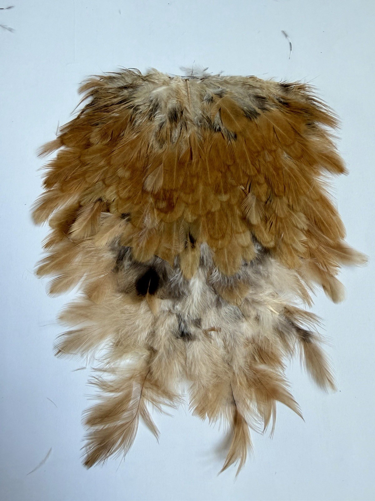 Hareline Strung Guinea Feathers Natural 592-E-L