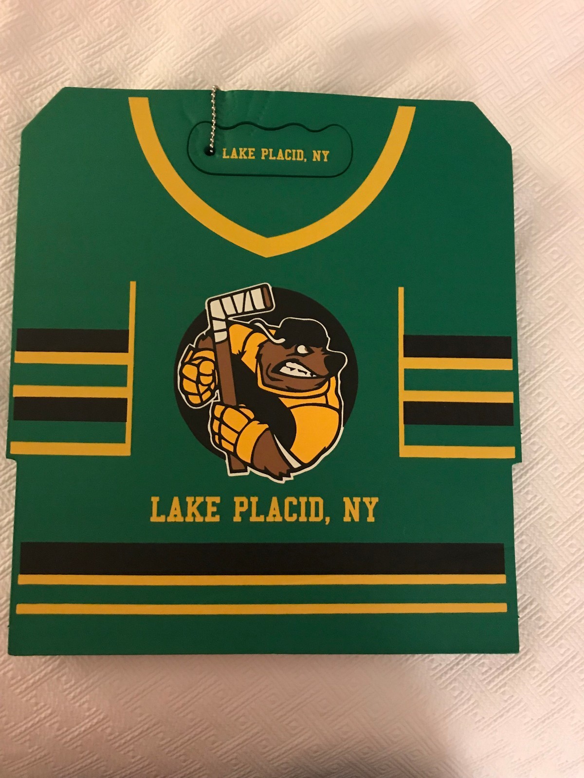 LAKE PLACID ICE HOCKEY SEAT CUSHION NEW YORK OLYMPIC RARE GREEN 12X12"