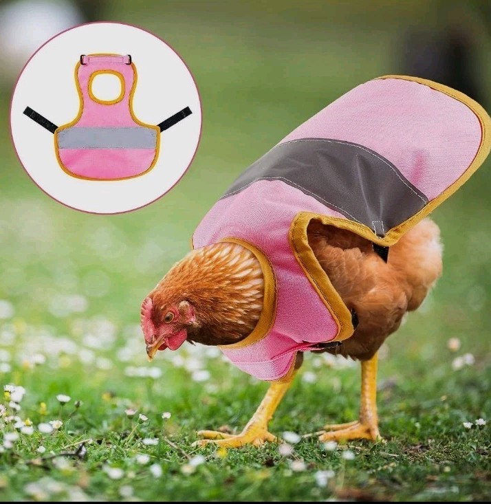 3 Reflective Chicken Harness Hen Apron Adjustable Vest Feather Protect Duck -e2
