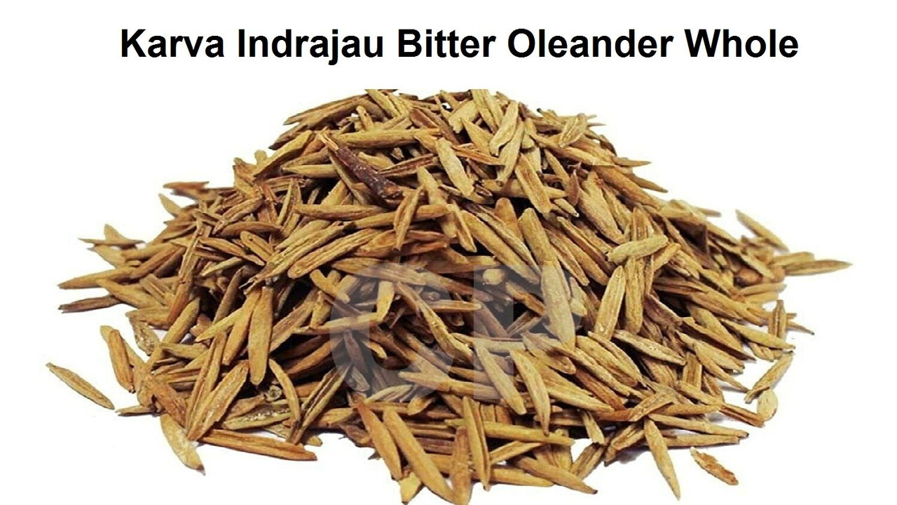 Karva Indrajau Bitter Oleander Whole Holarrhena Pubescens Organic 100gm(3.5 OZ)`