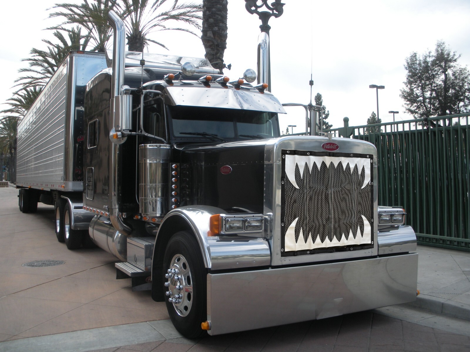 Peterbilt 379 ext/Long hood Jaws Teeth Designer Bug Screen