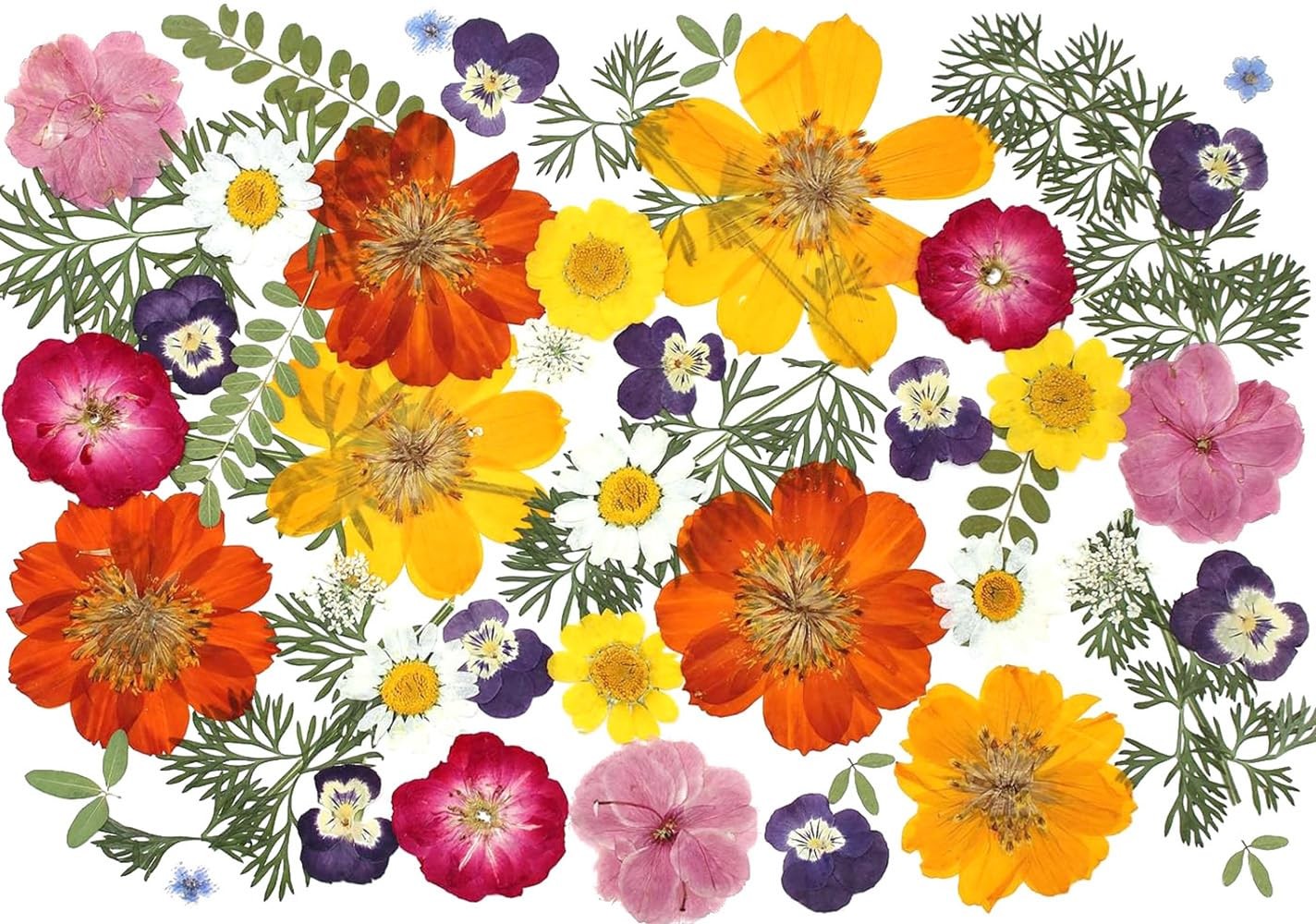 48 Pcs Mix Natural Dried Pressed Flowers for Edible Cake Decorating, Real Dry...