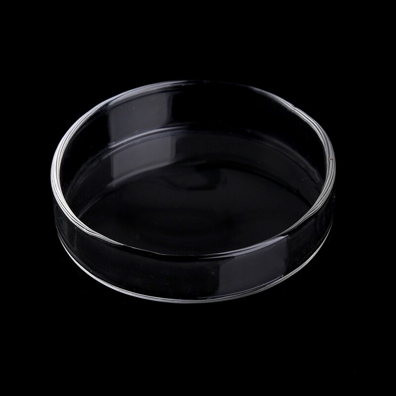 Shrimp Feeder Acrylic Dish Aquarium Fish for Tank Bottom Feeding Tray Bowl