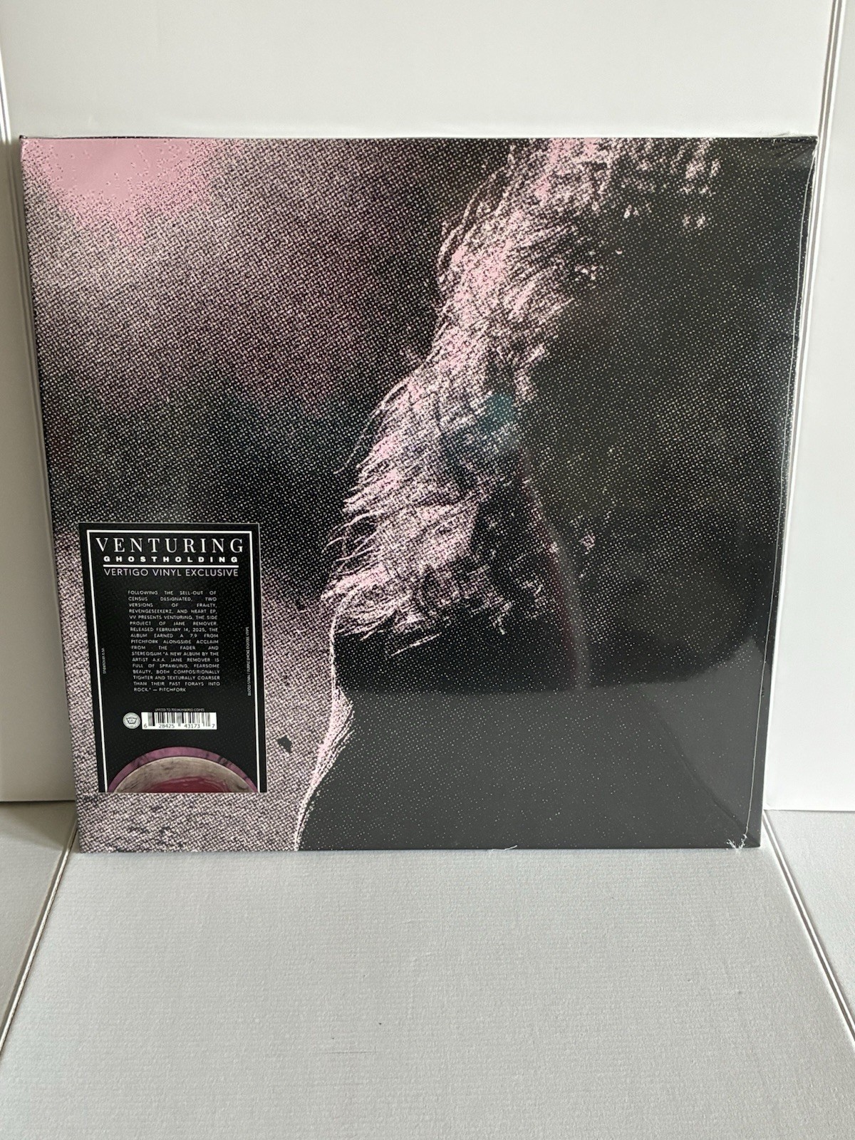 NUMBERED Venturing Ghostholding BLOOD STAIN PURPLE vinyl vertigo jane remover