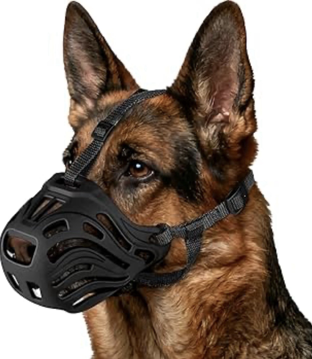 Black Plastic Basket Dog Muzzle, Adjustable Nylon Strap, size XL (66LB)