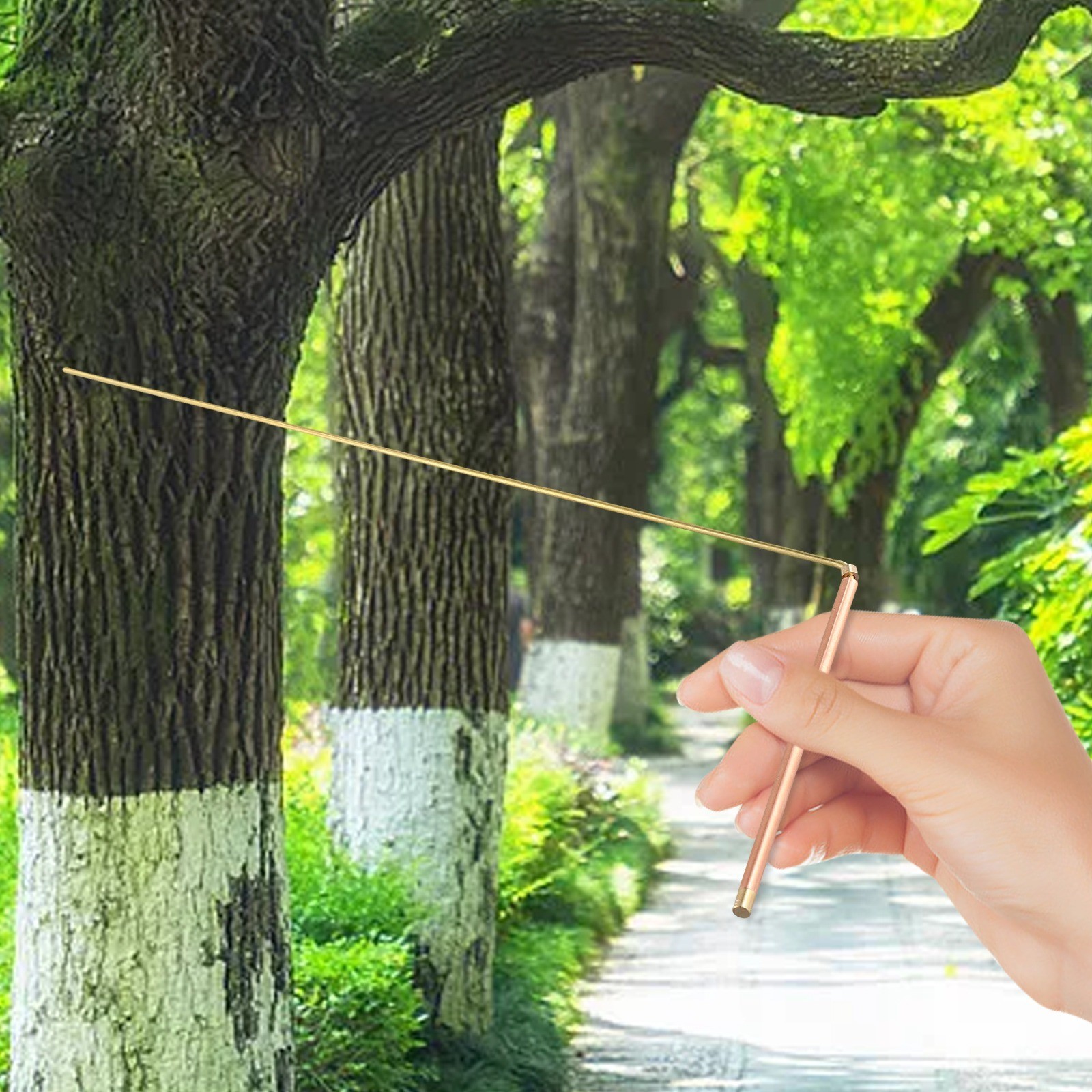 Professional Brass Divining Rods for Enhanced Dowsing and Treasure Discovery
