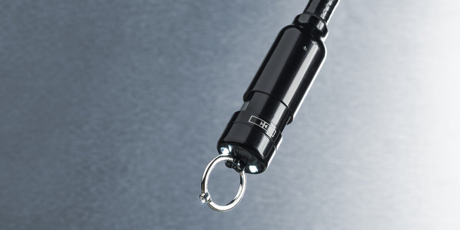 Videoscope Grabber (search and recovery)