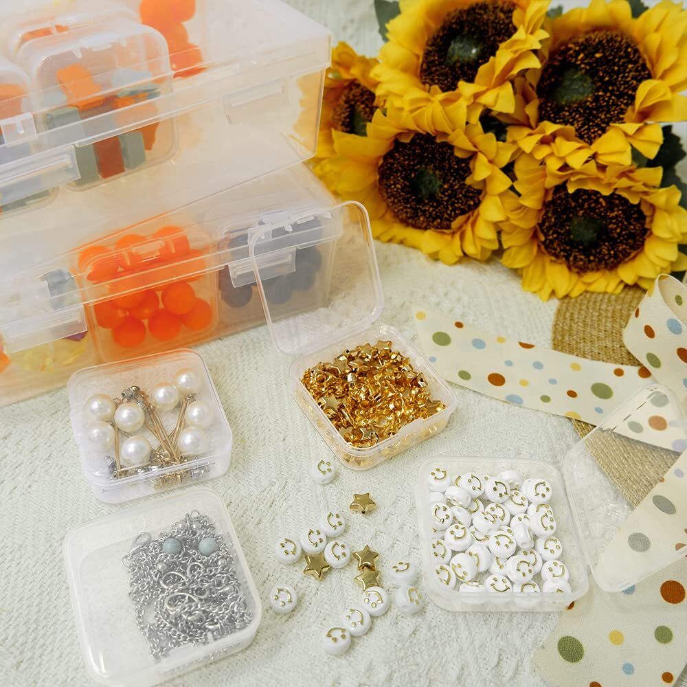 Large Clear Storage Box with 12 Pcs Small Bead Organizers Cases with Hinged Lid