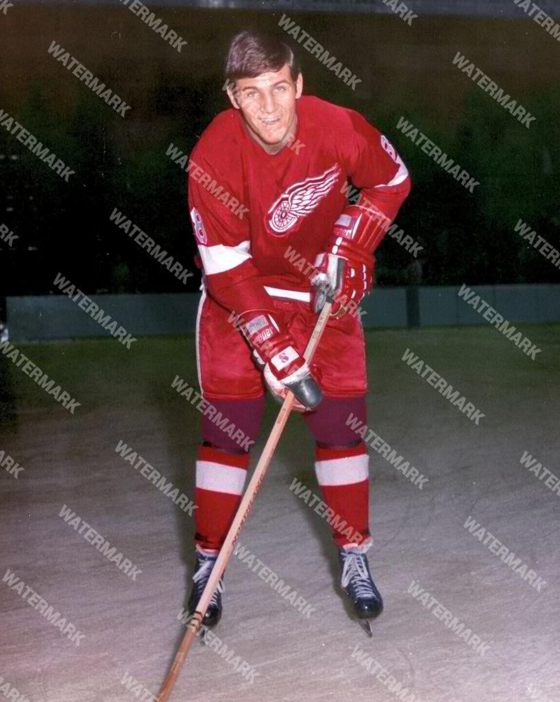 GW639 Rene Leclerc Detroit Red Wings 8x10 11x14 16x20 Colorized Photo